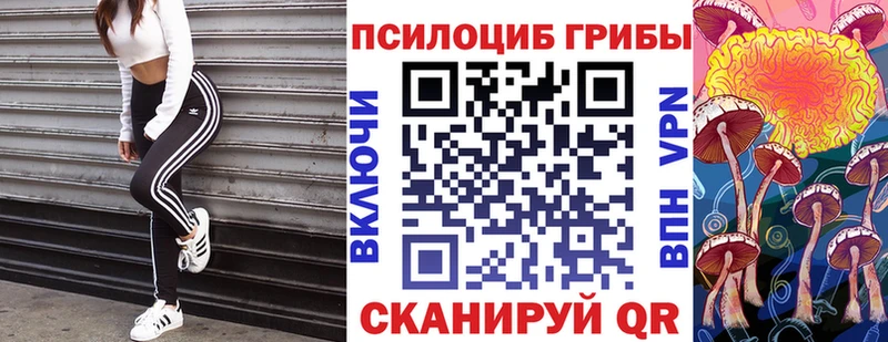 что такое наркотик  Новотитаровская  Галлюциногенные грибы Magic Shrooms 