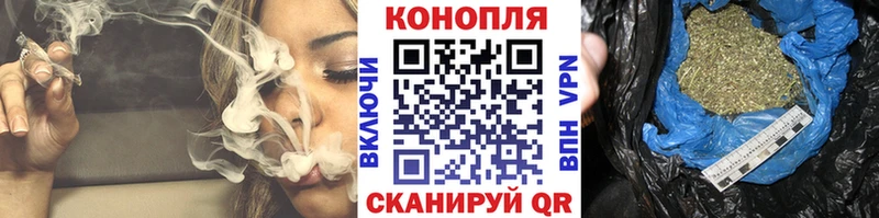 Марихуана гибрид Новотитаровская